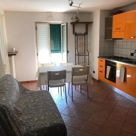 Vitelloni